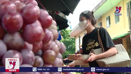 BHXH tự nguyện - “của để dành” cho người lao động tự do