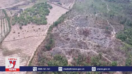 Tìm giải pháp giải quyết triệt để vấn nạn phá rừng khu vực giáp ranh