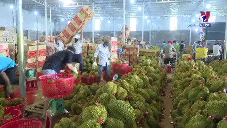 Nhật trình kinh tế ngày 3/7/2024