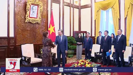 Chủ tịch nước Tô Lâm tiếp Đại sứ New Zealand