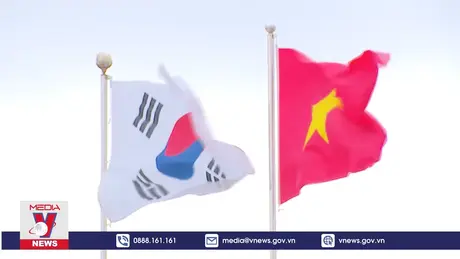 Mối lương duyên đơm hoa, kết trái