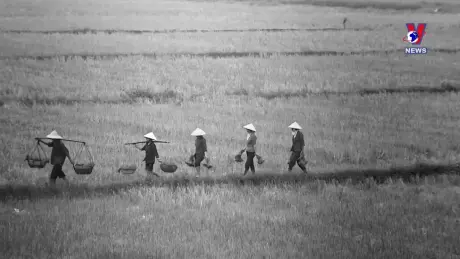 Thông điệp lịch sử: Giáo sư Bùi Huy Đáp