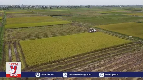 Đề xuất miễn thuế sử dụng đất nông nghiệp đến hết 2030