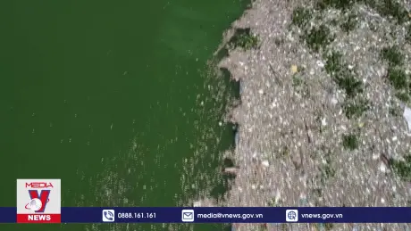 Cuộc chiến chống lại đảo rác tại Guatemala