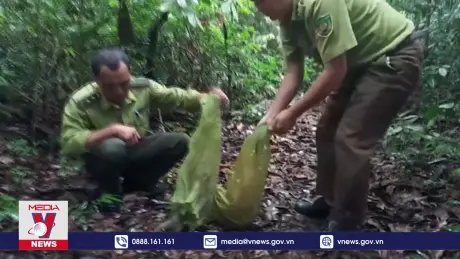 Kiểm lâm Tây Ninh thả động vật hoang dã về tự nhiên