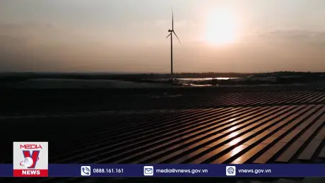 Cơ chế DPPA tạo đột phá cho thị trường điện cạnh tranh