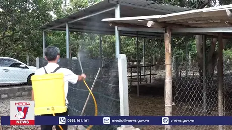 Khánh Hòa tiếp tục xuất hiện hiện ổ dịch tả lợn