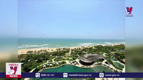 100 chủng diều trên thế giới trình diễn ở Quảng Nam