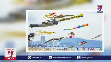 100 loại diều quy tụ tại lễ hội diều quốc tế - Quảng Nam 2024 