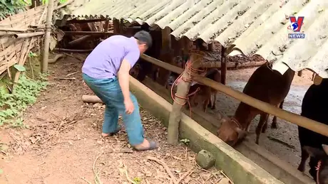 Tín dụng cho người nghèo số 10 ngày 22/6/2024