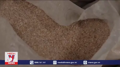 Nga tiếp tục gia hạn lệnh cấm xuất khẩu gạo và yến mạch