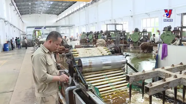 Việt Nam - Góc nhìn từ thế giới: Nửa năm xoay chuyển của kinh tế Việt Nam