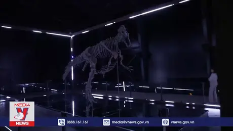 Bộ xương khủng long khổng lồ tại Đan Mạch