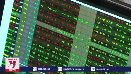 Lý giải về sự cố mất kết nối tại HOSE