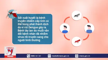 Phòng tránh bệnh sốt xuất huyết
