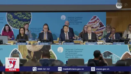 WIPO xây dựng định chế về sở hữu trí tuệ