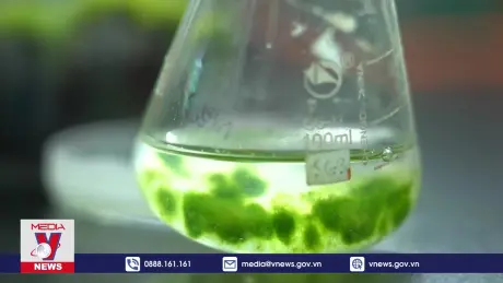 Phát hiện loài rêu có tiềm năng sống sót trên sao Hỏa