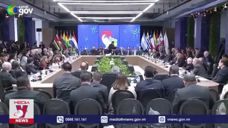 Brazil phê chuẩn FTA với Palestine