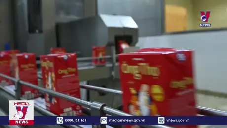 Thương hiệu sữa được mua nhiều nhất Việt Nam