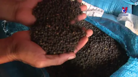 Nhật trình kinh tế ngày 09/7/2024