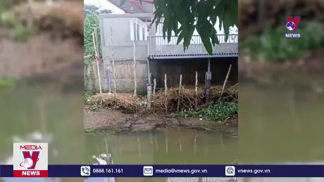 Cơ sở chế biến cá vừa hoạt động đã gây ô nhiễm môi trường 