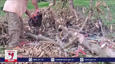 Lốc xoáy làm một người tử vong ở Đắk Lắk