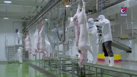 Nhật trình kinh tế ngày 11/7/2024