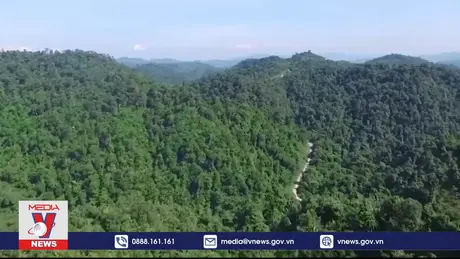 Phim tài liệu: Về thăm rừng Nhuội - Hoà Bình