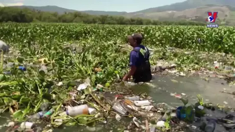 Tương Lai Xanh ngày 11/7/2024