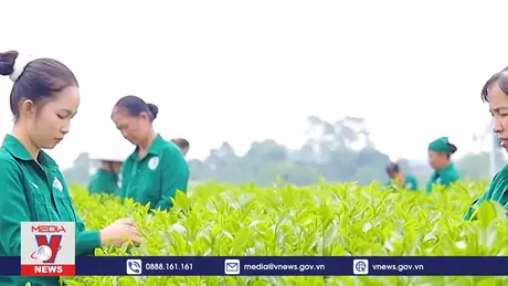 Hỗ trợ nguồn vốn cho các sản phẩm OCOP