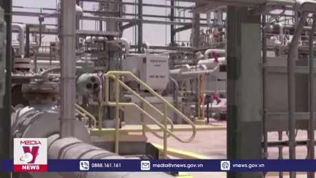 IEA hạ dự báo nhu cầu dầu mỏ thế giới