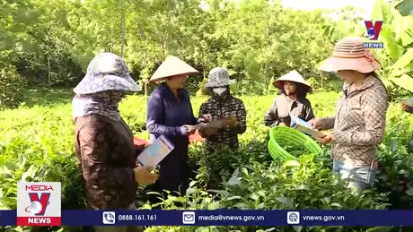 Mở rộng bao phủ BHXH với lao động làng nghề