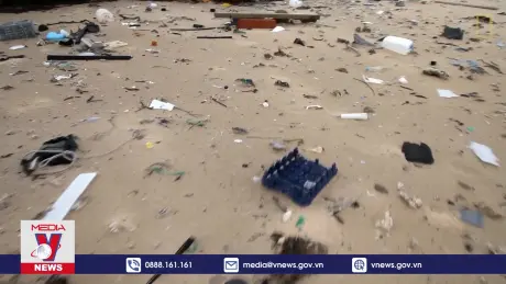 Hạt vi nhựa xâm nhập vào chuỗi thức ăn tại Nam Cực