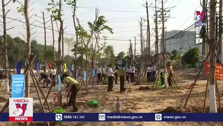 Người dân Bình Dương góp sức phủ xanh đô thị 