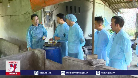 Kiểm tra chống dịch tại hộ chăn nuôi nhỏ lẻ