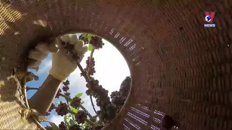 VNA News - Bản tin tiếng Anh ngày 14/7/2024