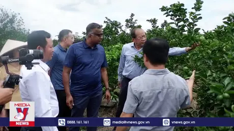 Cơ hội xuất khẩu sản phẩm tươi sống sang Singapore