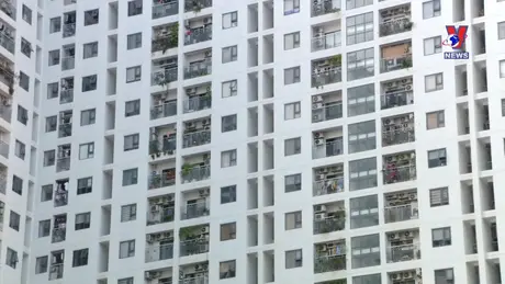 Noticiero semanal - Bản tin tiếng Tây Ban Nha ngày 14/7/2024