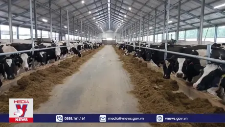 Bài toán giảm phát thải trong nông nghiệp chờ lời giải