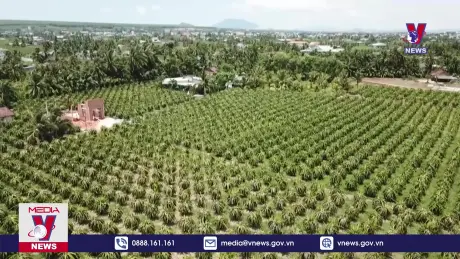 Bản tin thời sự 21h ngày 14/7/2024