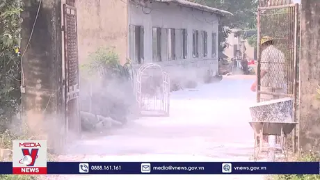 Quyết liệt phòng, chống dịch tả lợn Châu phi