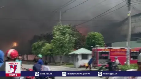 Lại cháy công ty sản xuất đồ gỗ ở Bình Dương