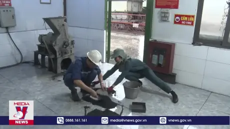 Phát triển đảng viên là người dân tộc thiểu số trong ngành than