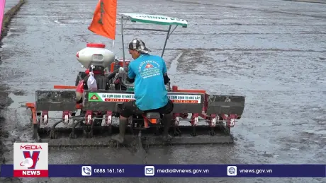 Kiên Giang khởi động Đề án 1 triệu ha chuyên canh lúa chất lượng cao