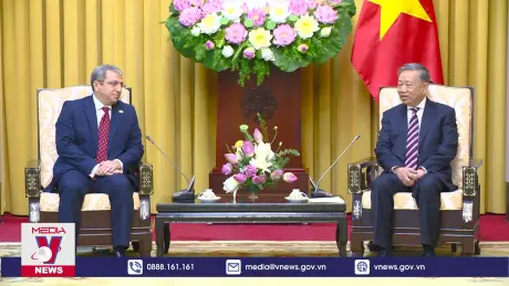 Chủ tịch nước Tô Lâm tiếp các Đại sứ chào xã giao