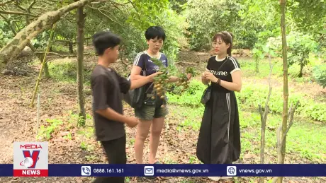 Trải nghiệm Hè “ngọt lịm” nơi miệt vườn 