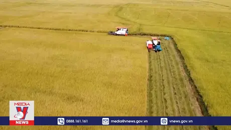 Đưa nền nông nghiệp Việt Nam phát triển theo hướng bền vững