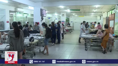 Chủ động phòng chống bệnh bạch hầu