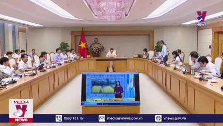 Rà soát tiến độ triển khai Đề án 1 triệu ha lúa chất lượng cao
