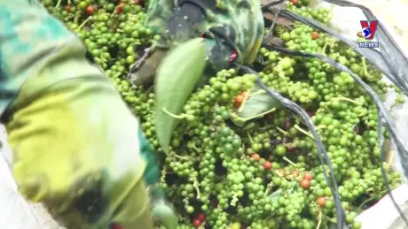 Nhật trình kinh tế ngày 18/7/2024